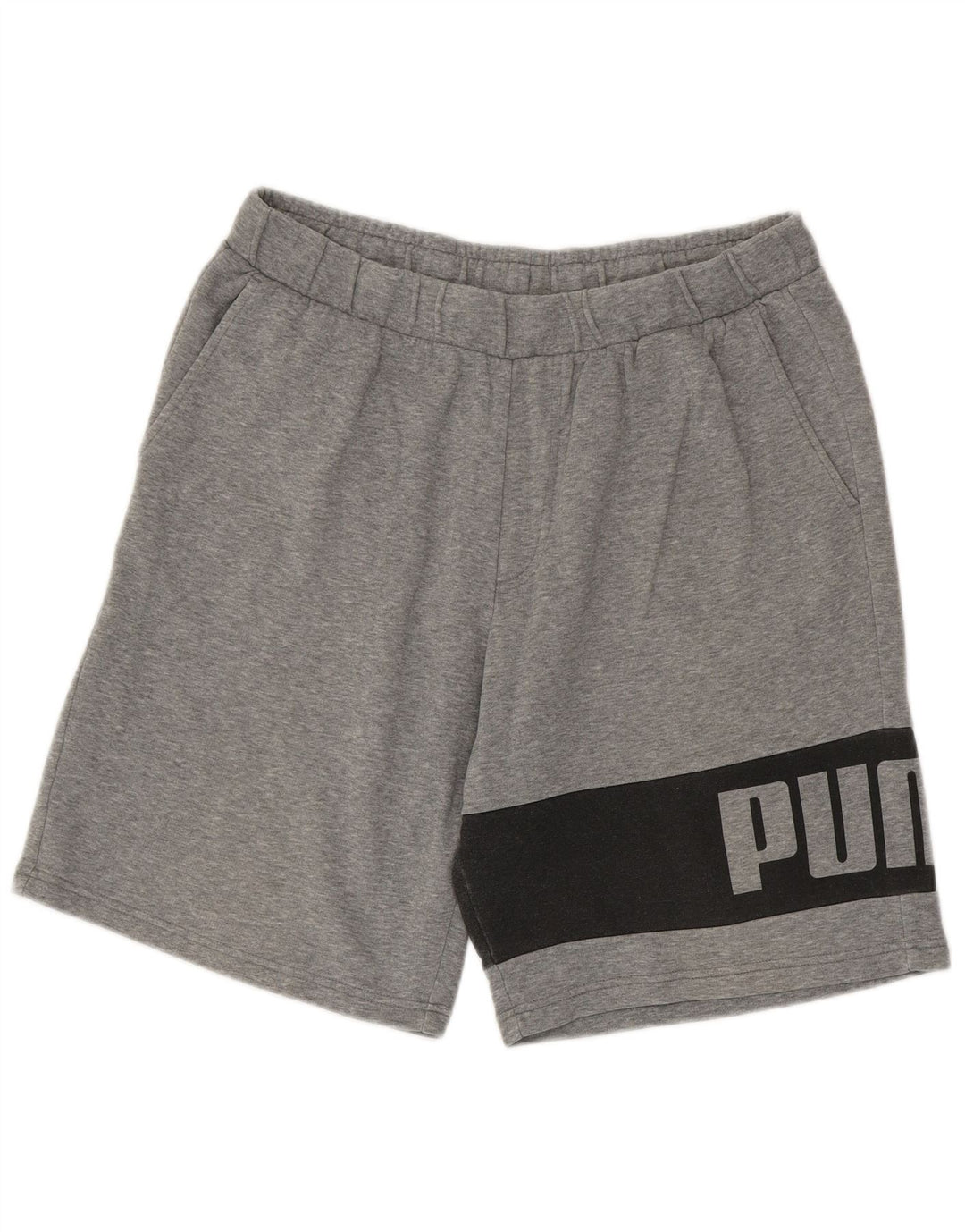 Puma Herren Graphic Sport Shorts XL Grau Farbblock