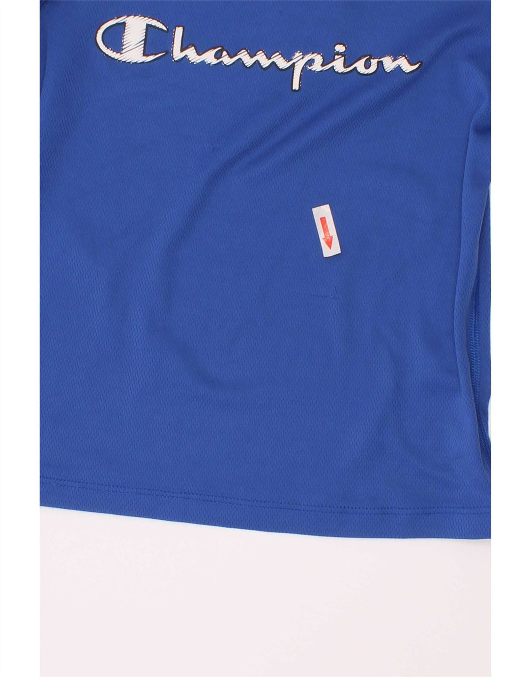 Champion Boys Graphic T-Shirt Top 3-4 Years 2XS Blue Polyester