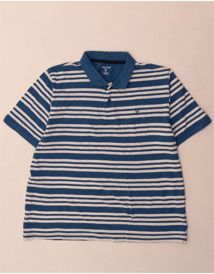James Pringle Herren-Poloshirt, groß, blau gestreift, Baumwolle