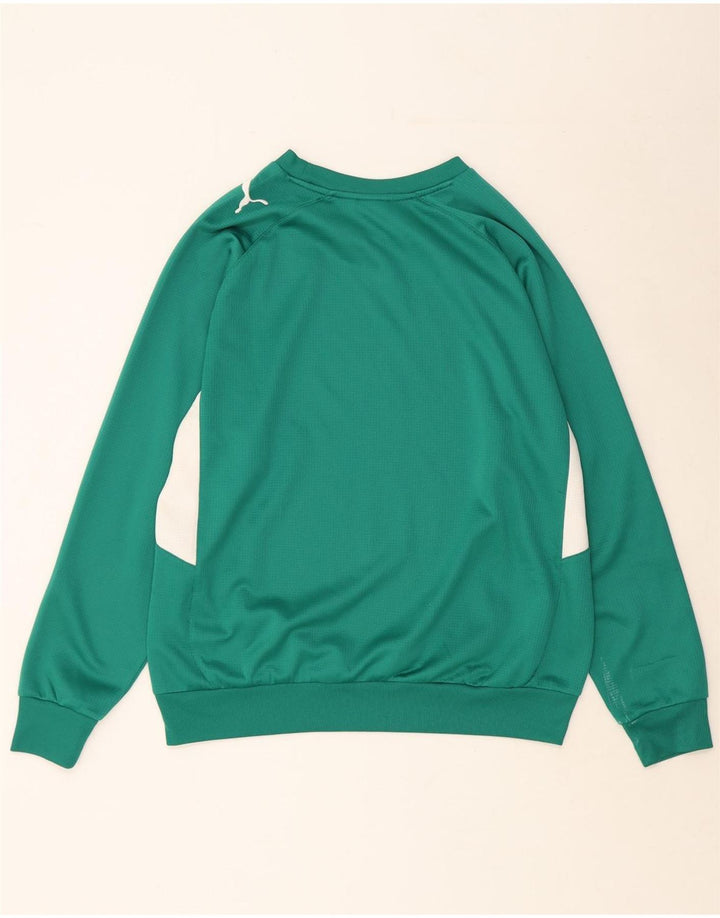 PUMA Herren-Sweatshirt-Pullover, großes grünes Farbblock-Polyester