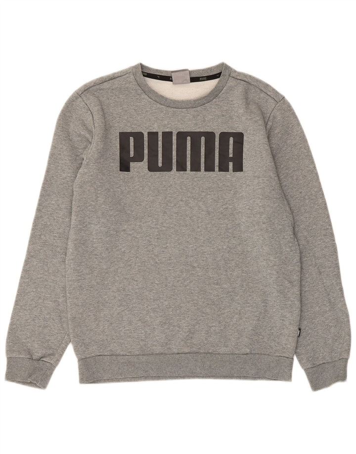 Puma Herren Grafik-Sweatshirt-Pullover, klein, graue Baumwolle
