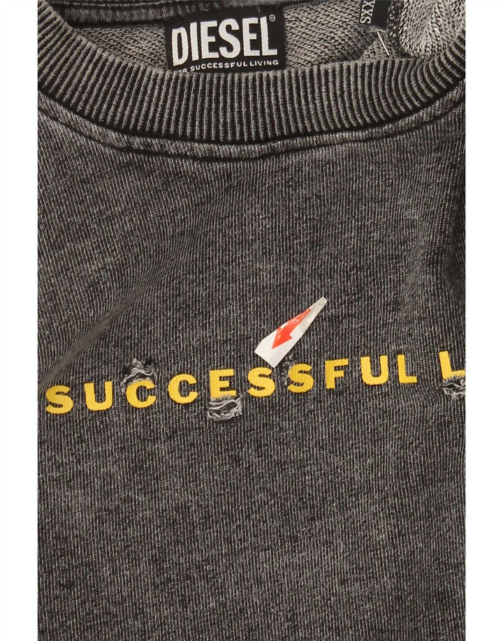 Diesel Herren Graphic Sweatshirt Pullover 2XS Grau