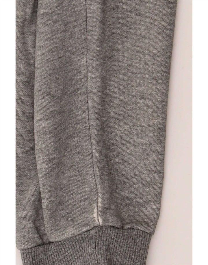 Puma Herren Graphic Sweatshirt Pullover XL Grau meliert