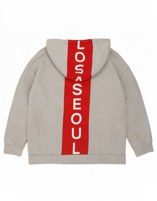 Zara Damen Trafaluc Graphic Hoodie Pullover UK 14 Mittelgrau Farbblock