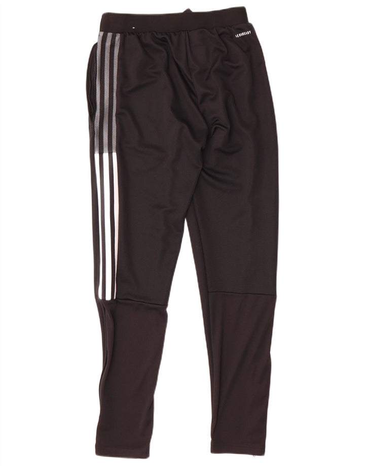 Adidas Herren Boston Celtics Trainingshose XS Schwarz Polyester