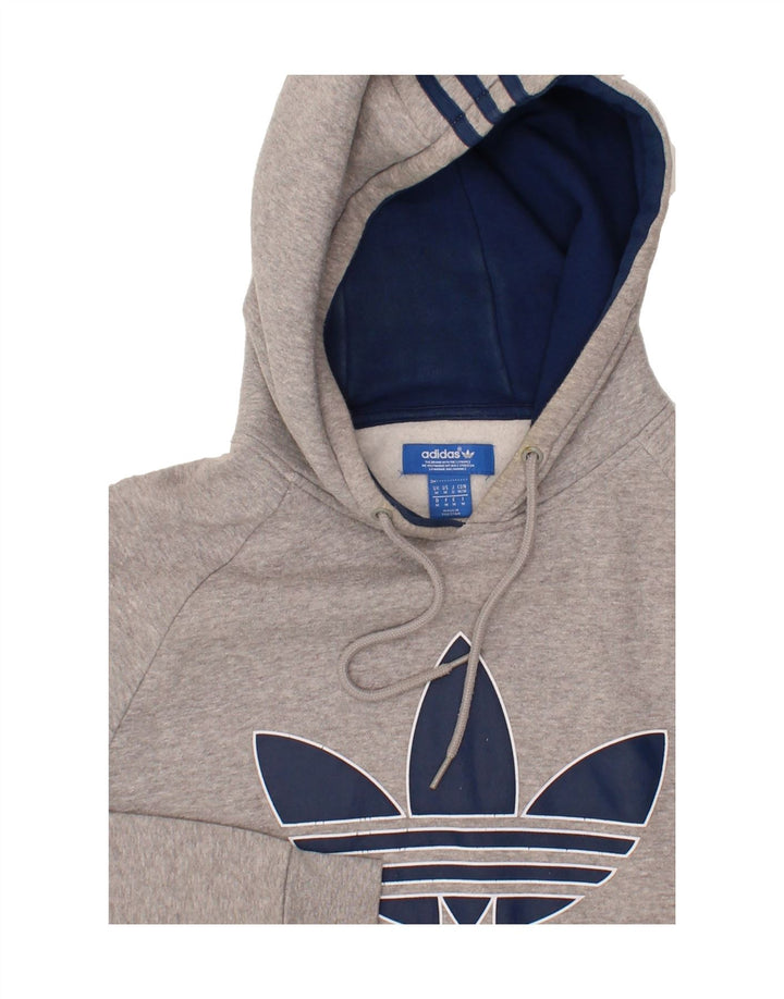 ADIDAS Mens Graphic Hoodie Jumper Medium Grey Cotton Vintage Adidas and Second-Hand Adidas from Messina Hembry 