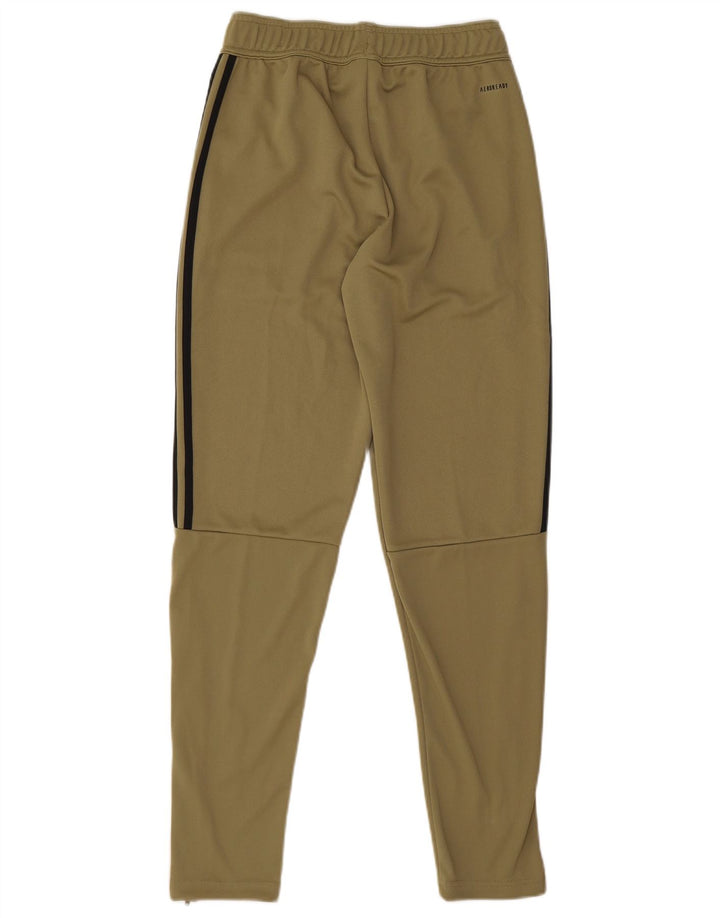 Adidas Herren-Trainingshose, klein, Khaki, Polyester