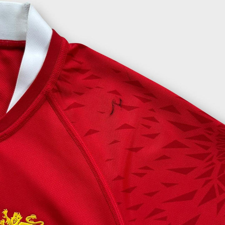 Lions-Rugbyoberteil – groß