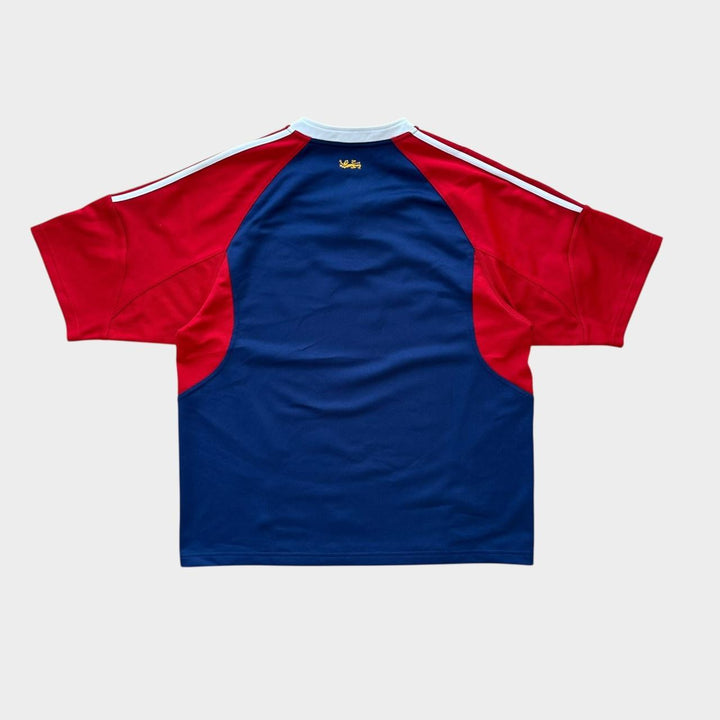 Vintage Lions Rugby-Top – groß