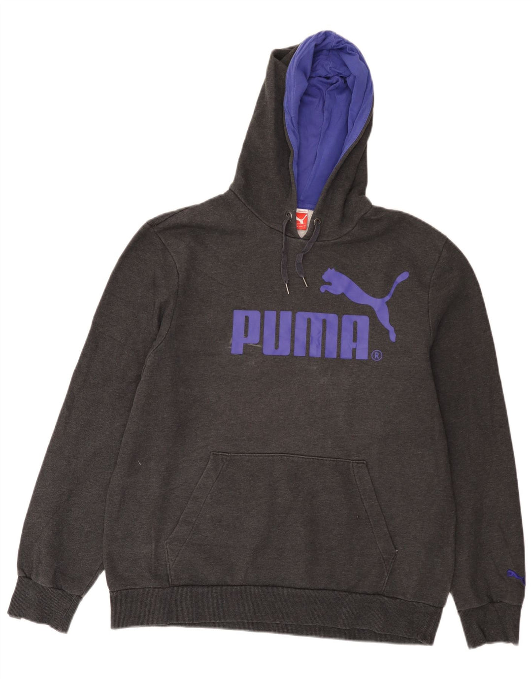 Puma Herren Graphic Hoodie Pullover Large Grau