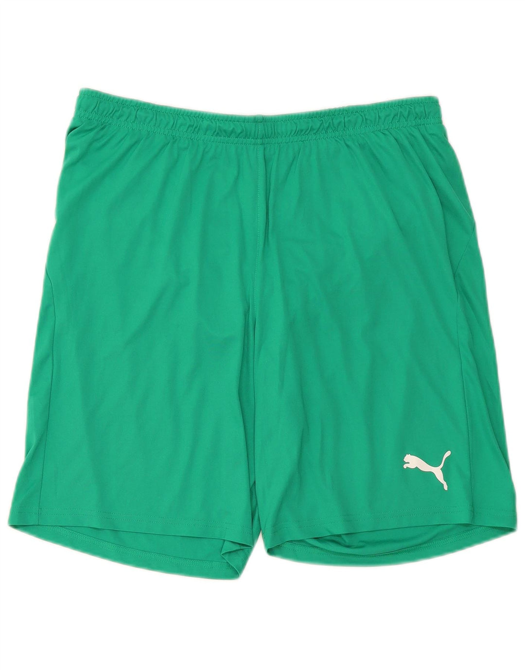 Puma Herren-Sportshorts, groß, grünes Polyester