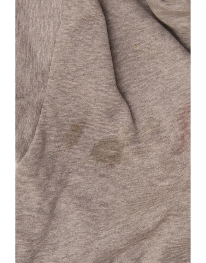 Diesel Herren Graphic Hoodie Pullover Small Grau