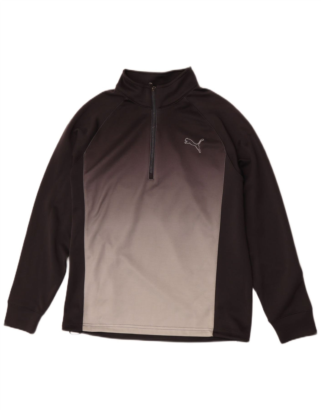Puma Herren-Pullover-Trainingsanzugoberteil, klein, graues Farbblock-Polyester