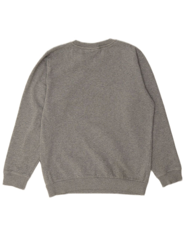 Napapijri Jungen-Sweatshirt mit Grafik, 13–14 Jahre, graue Baumwolle
