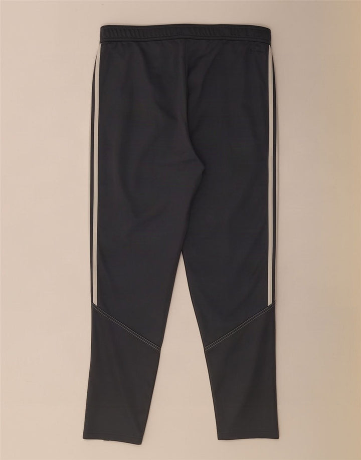 Adidas Herren Trainingshose XL Grau Polyester
