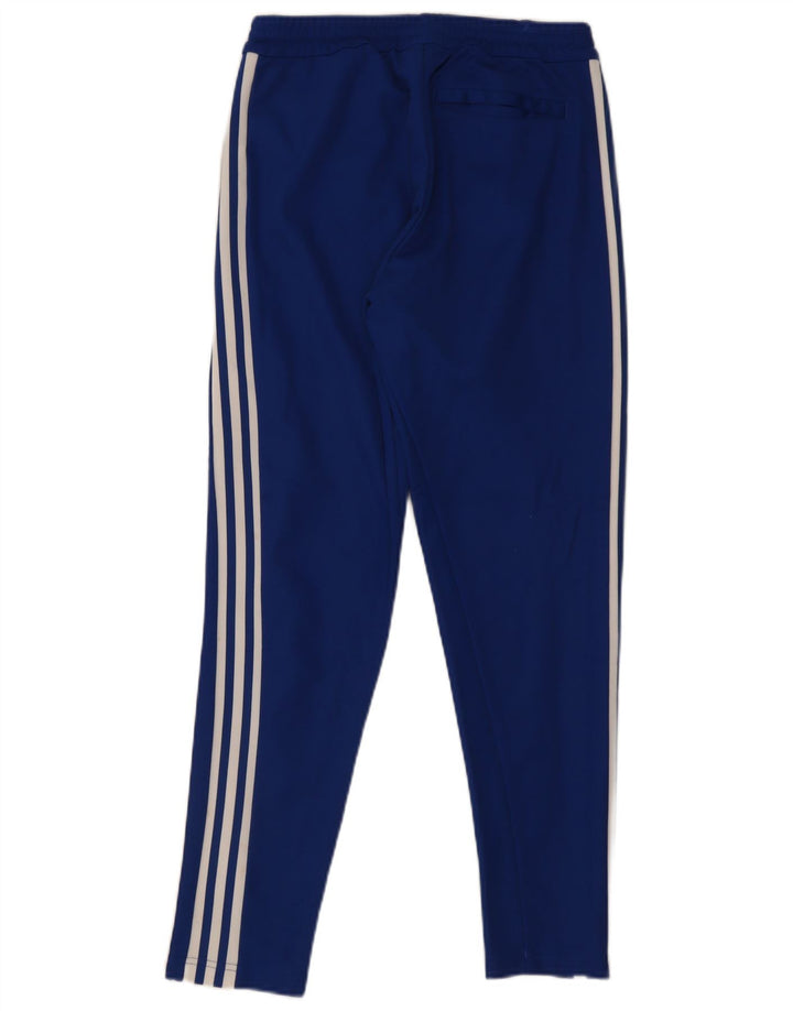 Adidas Herren-Trainingshose aus mittelblauer Baumwolle