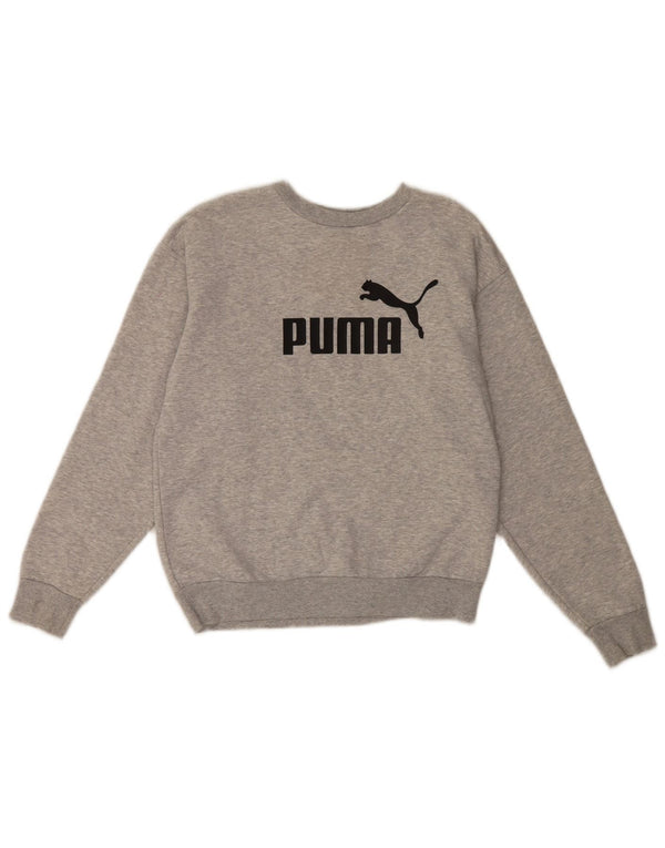 Puma Herren Grafik Sweatshirt Pullover XS Grau Baumwolle