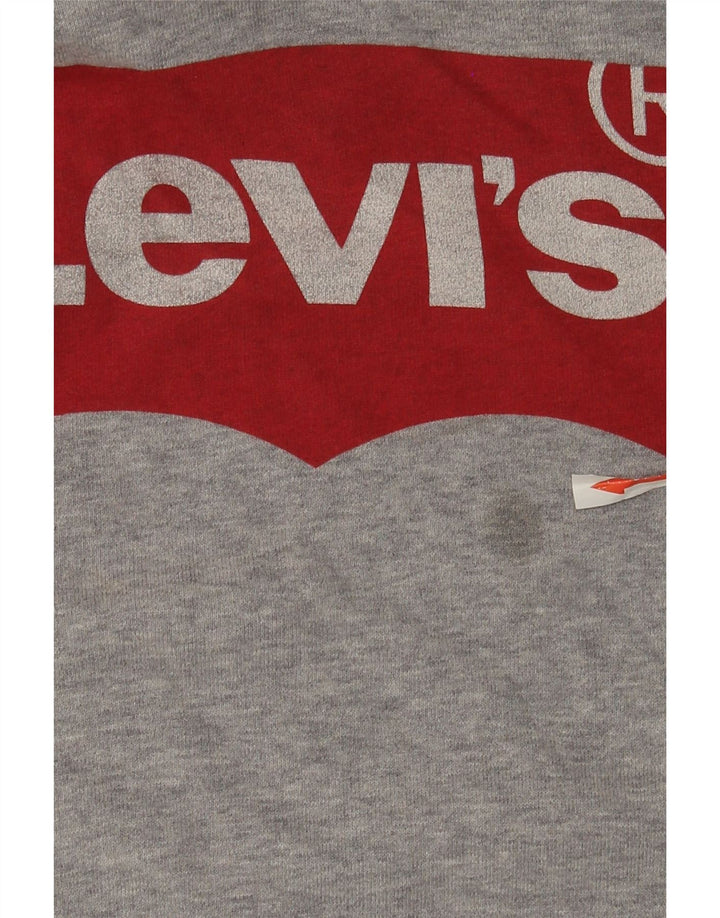 Levi's Herren-Kapuzenpullover mit Grafik, mittelgrau gesprenkelte Baumwolle