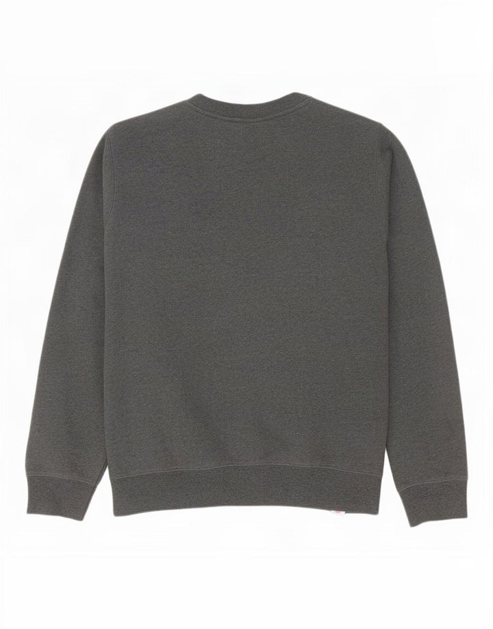Dickies Herren-Sweatshirt mit Grafik, groß, aus grauer Baumwolle