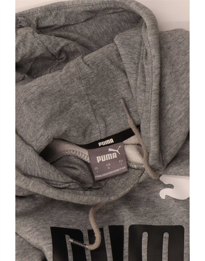 Puma Herren Graphic Hoodie Pullover Large Grau meliert