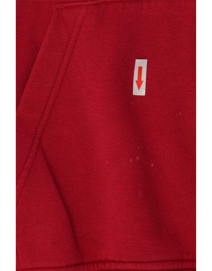 Jordan Herren-Kapuzenpullover mit Grafik, Mittelrosa, Baumwolle