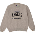 RUSSELL ATHLETIC Boys Graphic Sweatshirt Jumper 14-15 Years Large Grey Vintage Russell Athletic and Second-Hand Russell Athletic from Messina Hembry 