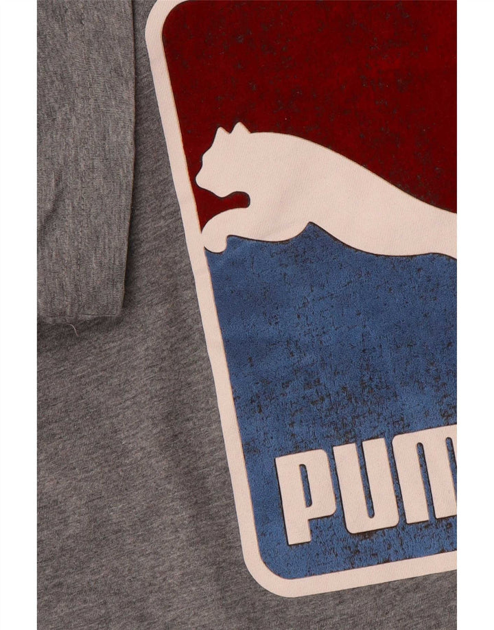 Puma Herren Grafik T-Shirt Top Large Grau
