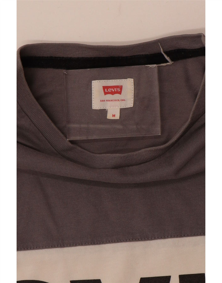 LEVI'S Herren-T-Shirt mit Grafik, Mittelgrau, Farbblock