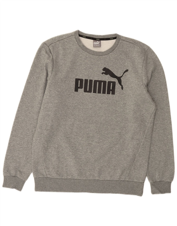 PUMA Herren Grafik-Sweatshirt-Pullover, groß, grau meliert, Baumwolle