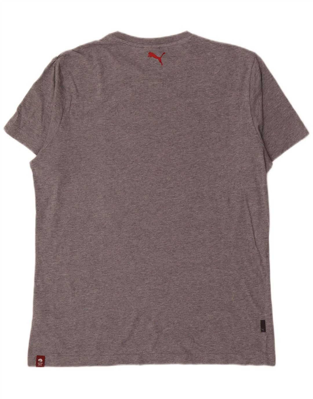 Puma Herren Grafik T-Shirt Top Large Grau