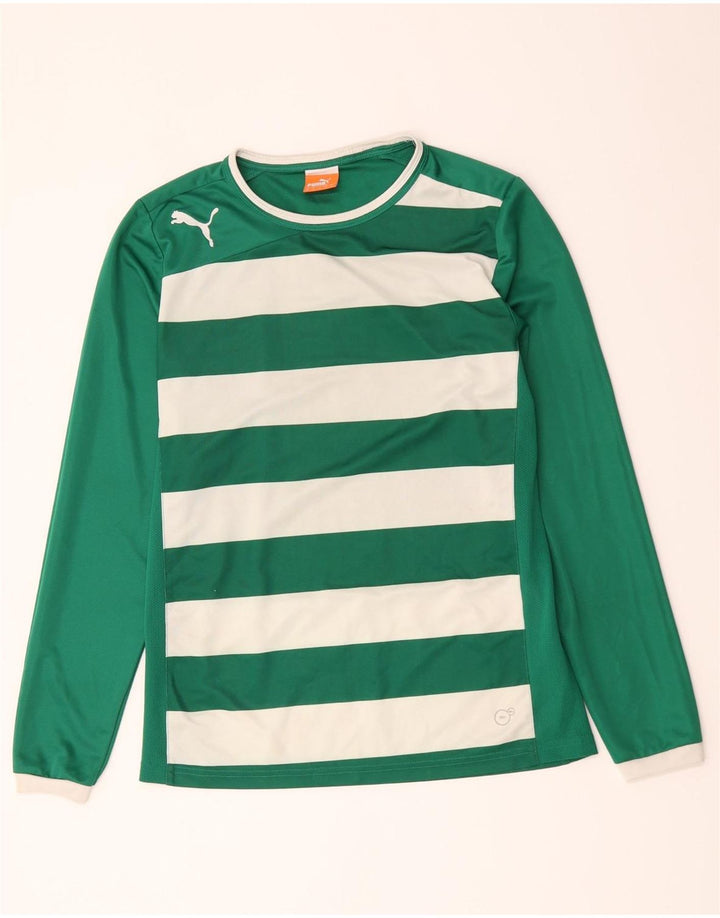 Puma Herren-Oberteil, langärmelig, mittelgrün, gestreift, Polyester