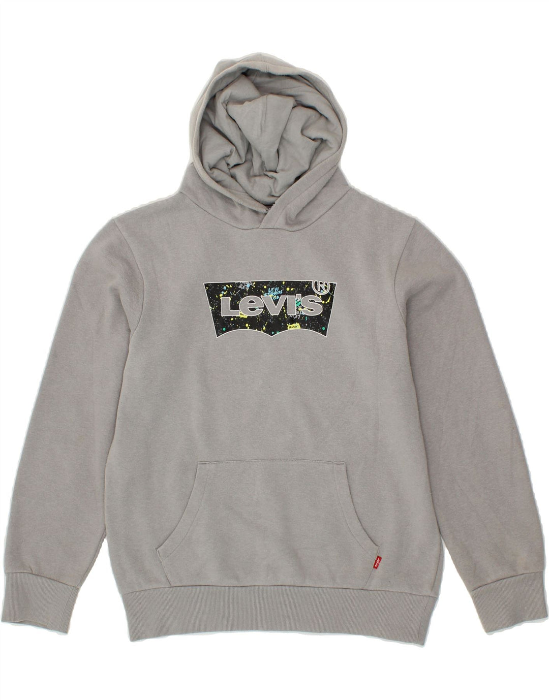 LEVI'S Boys Graphic Hoodie Jumper 13-14 Years Grey Vintage Levi's and Second-Hand Levi's from Messina Hembry 