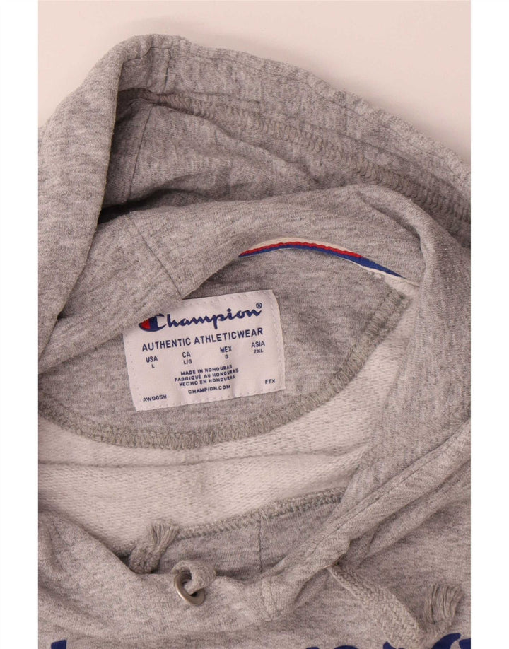 Champion Herren-Kapuzenpullover mit Grafik, groß, grau gefleckt