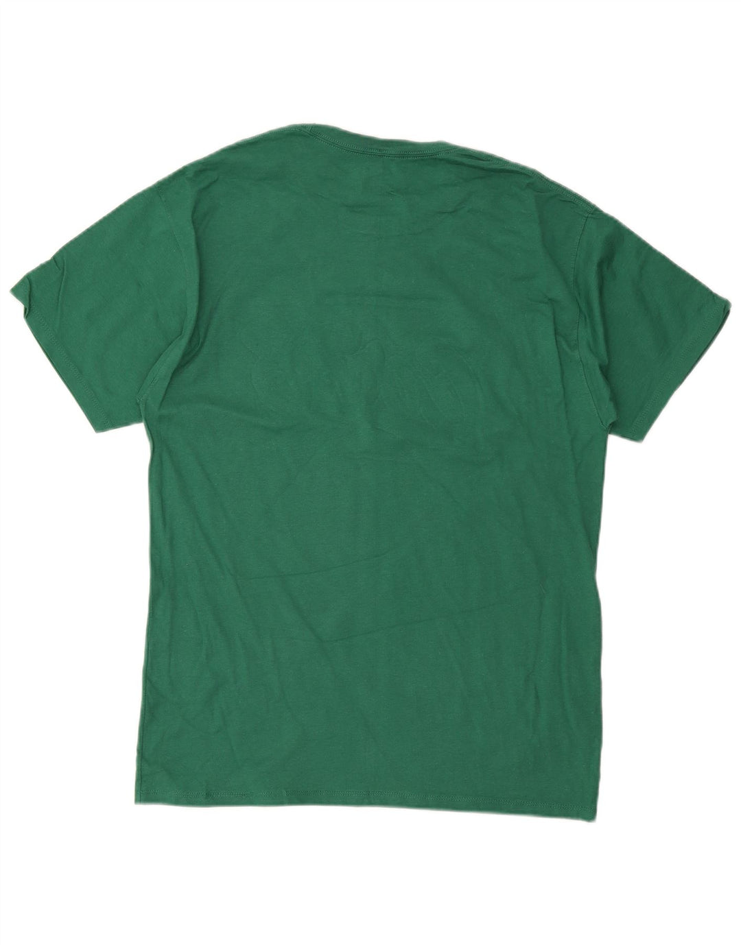 Champion Herren-T-Shirt mit Grafik, Größe L, Grün, Baumwolle
