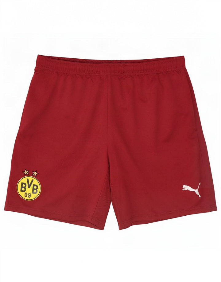 Puma Herren BVB Dortmund Sportshorts, Größe L, Kastanienbraun