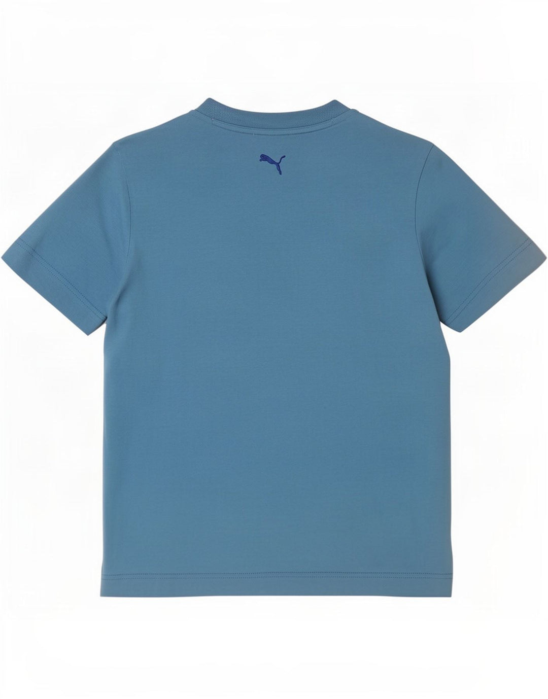 Puma Herren Grafik T-Shirt Top Small Blue
