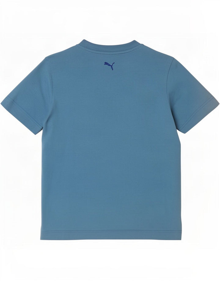 Puma Herren Grafik T-Shirt Top Small Blue