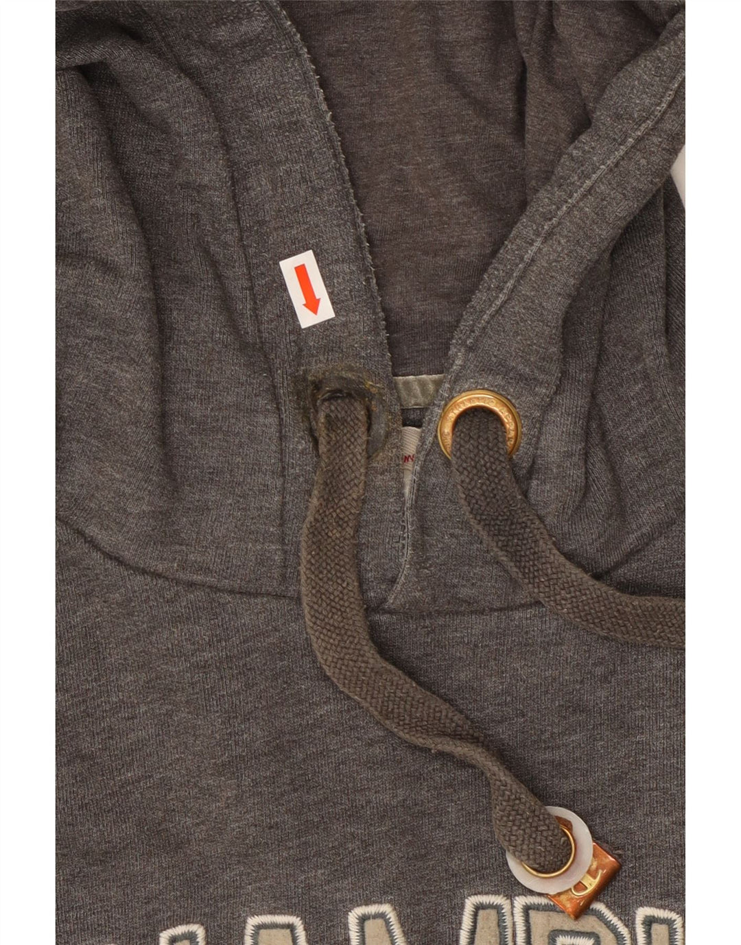 CHAMPION Damen-Kapuzenpullover mit Grafik, UK 16, Größe L, Grau, Baumwolle