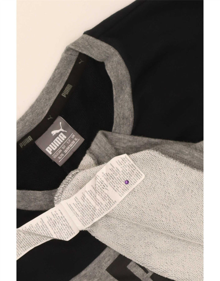 Puma Herren Graphic Sweatshirt Pullover XL Grau Colourblock Baumwolle