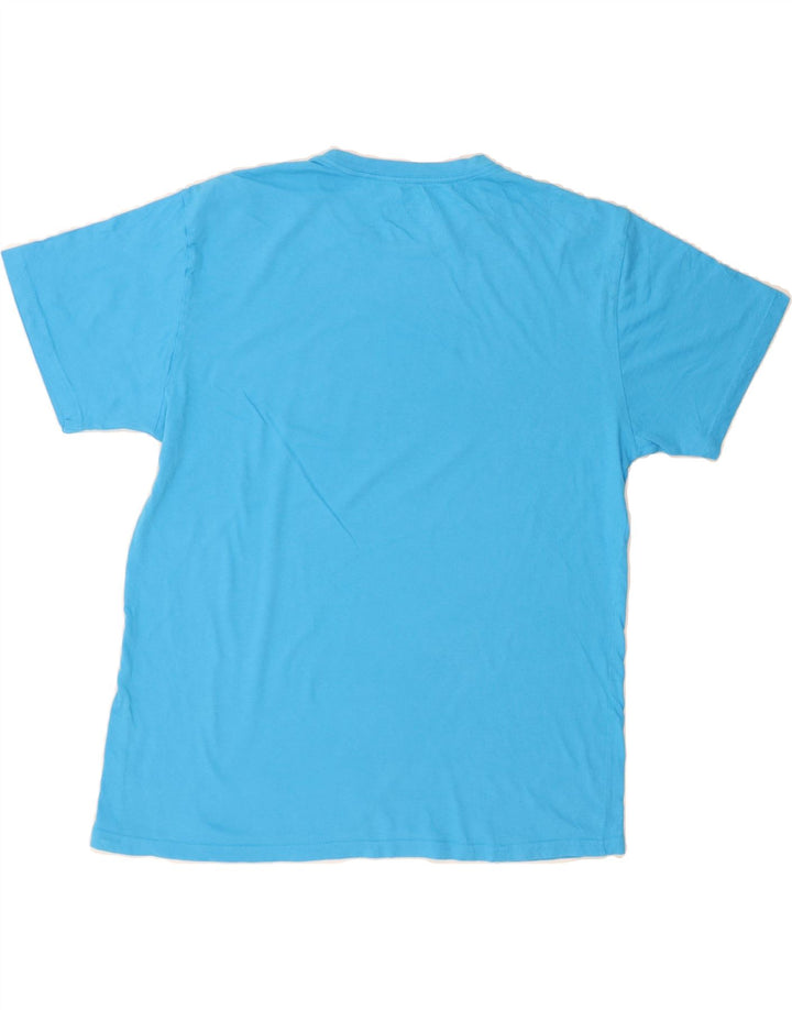 O'NEILL Mens Standard Fit Graphic T-Shirt Top Large Blue Vintage O'Neill and Second-Hand O'Neill from Messina Hembry 