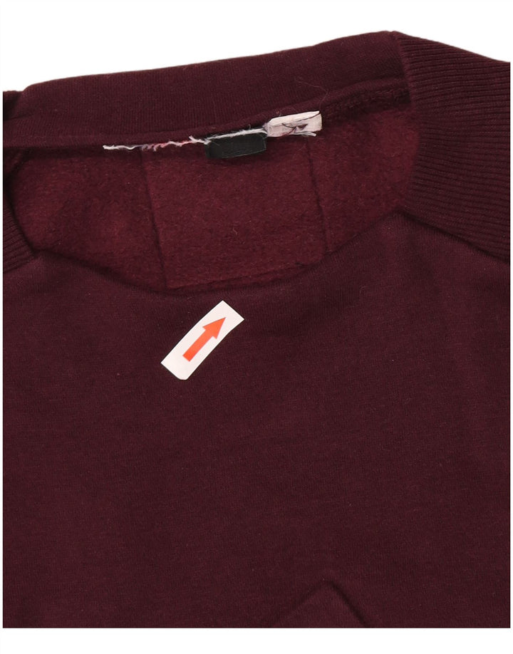 Adidas Herren Grafik-Sweatshirt, Pullover, Größe S, Kastanienbraun