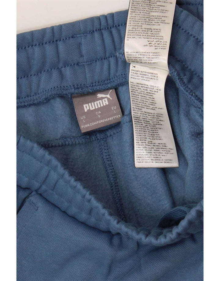 Puma Herren-Trainingshose, Jogginghose, Größe L, Blau, Baumwolle