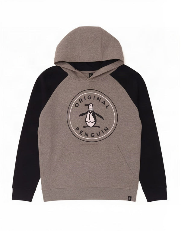 Pinguin-Kapuzenpullover für Jungen mit Grafik, 9–10 Jahre, graue Farbblock-Baumwolle