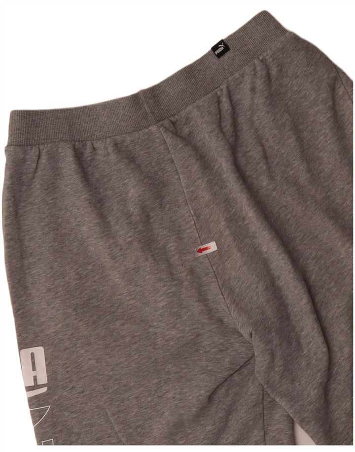 Puma Herren Graphic Sport Shorts Kleine graue Baumwolle
