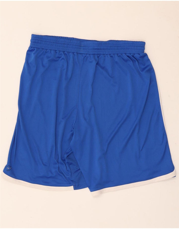 Puma Herren Italia Graphic Sport Shorts Large Blau Polyester