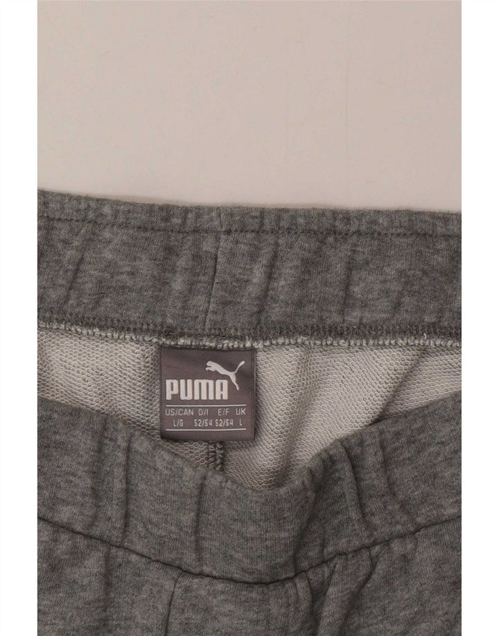Puma Herren Graphic Sport Shorts Large Grau meliert