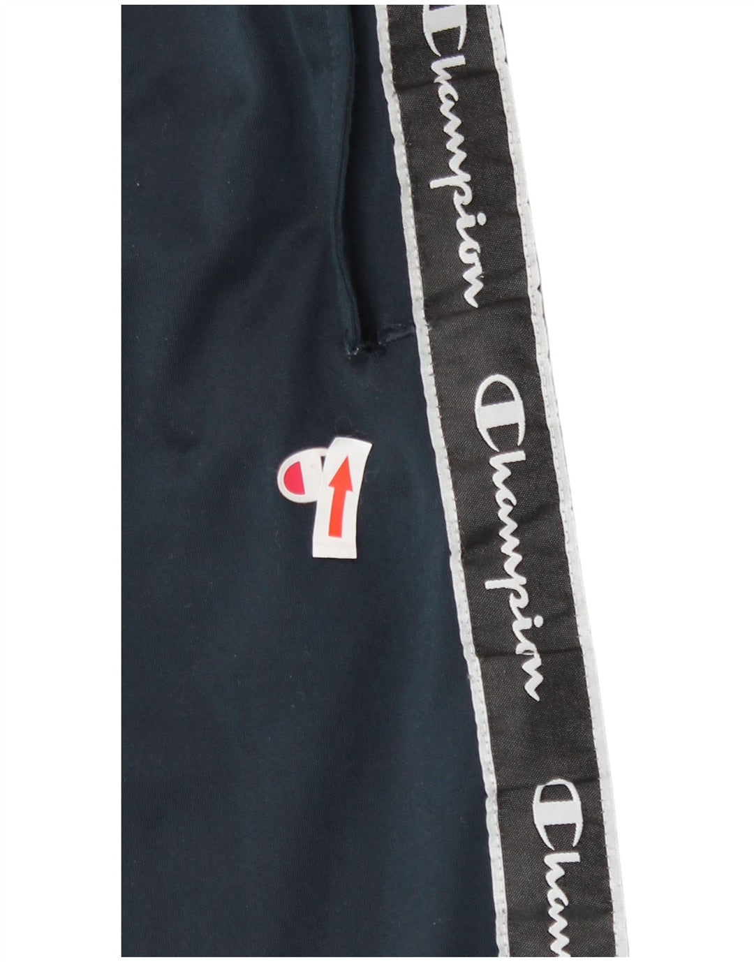 Champion Herren-Trainingshose mit Grafik, Größe L, Marineblau, Polyester