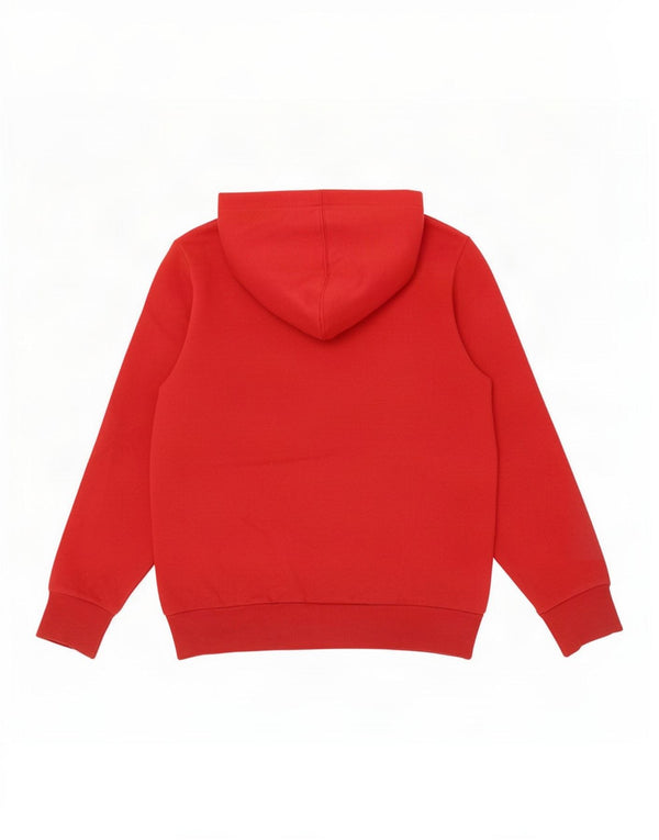 Levi's Jungen-Pullover mit grafischem Kapuzenpullover, 11–12 Jahre, rote Baumwolle