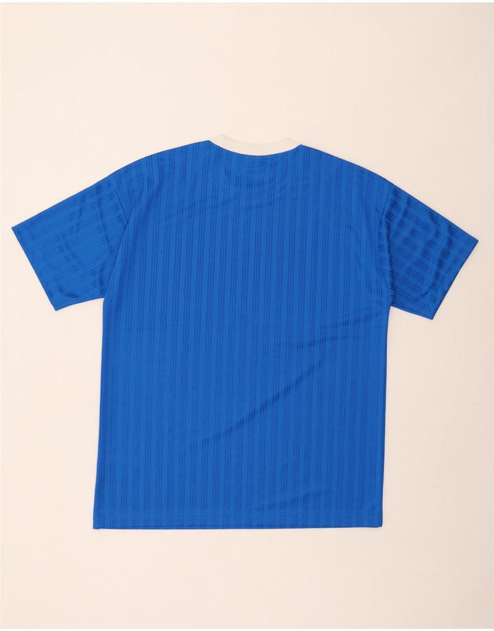 ADIDAS Herren Grafik-T-Shirt-Oberteil Mittelblau gestreift aus Polyester