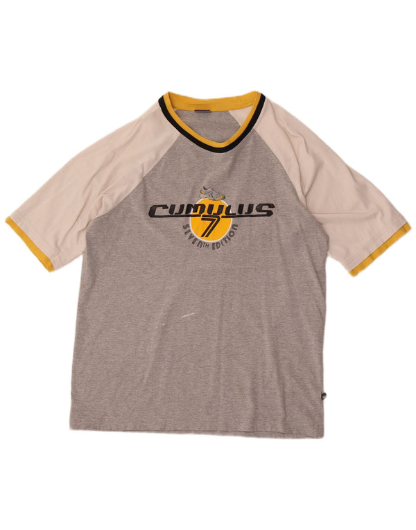 Asics Herren Grafik-T-Shirt-Oberteil, groß, Grau, Farbblock